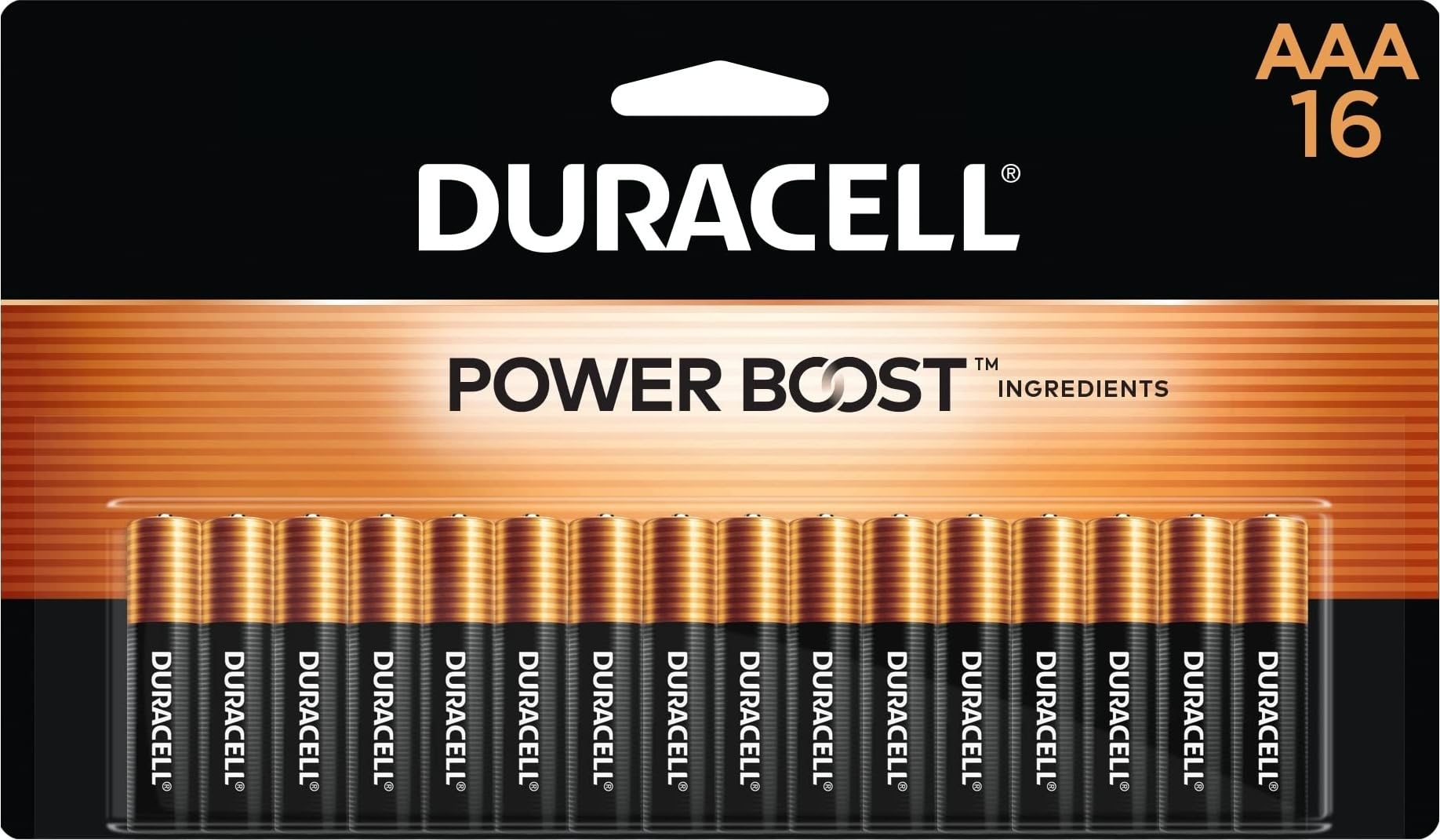 Duracell Coppertop AAA Batteries, 16 Count, 12-Year Shelf Life